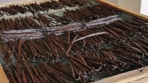 Vanille de Madagascar