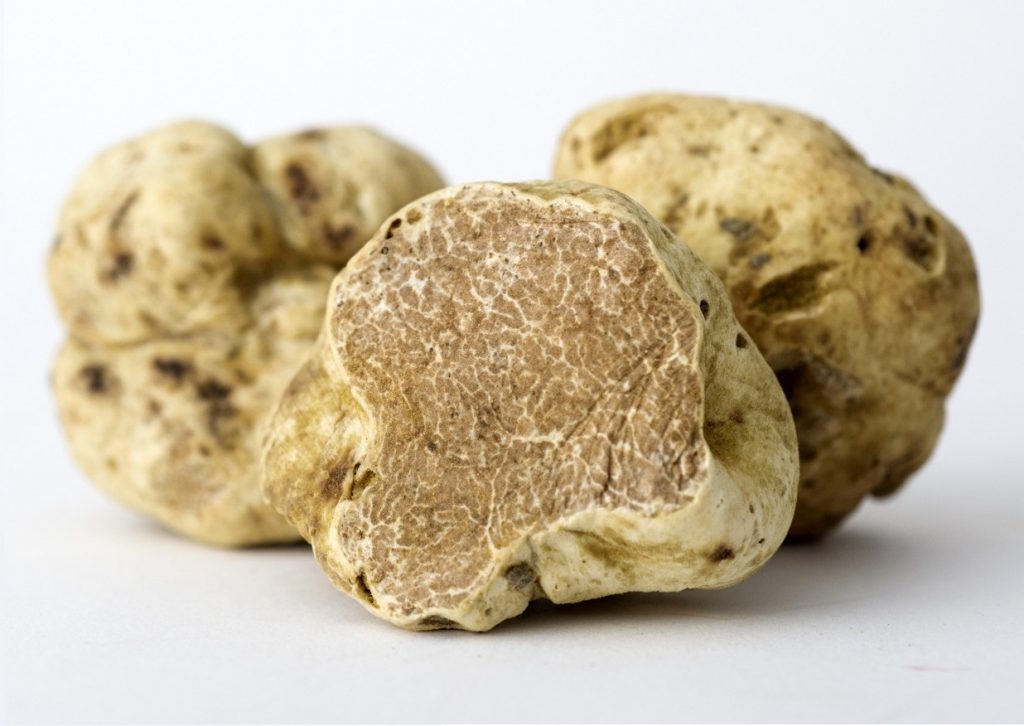 Truffe d'Alba