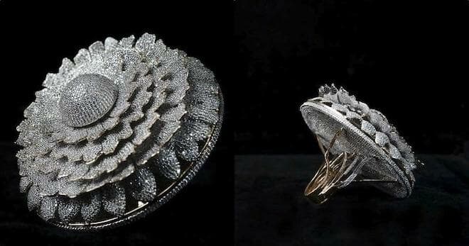 Harshit Bansal Meerut Diamond Ring Guiness World Record